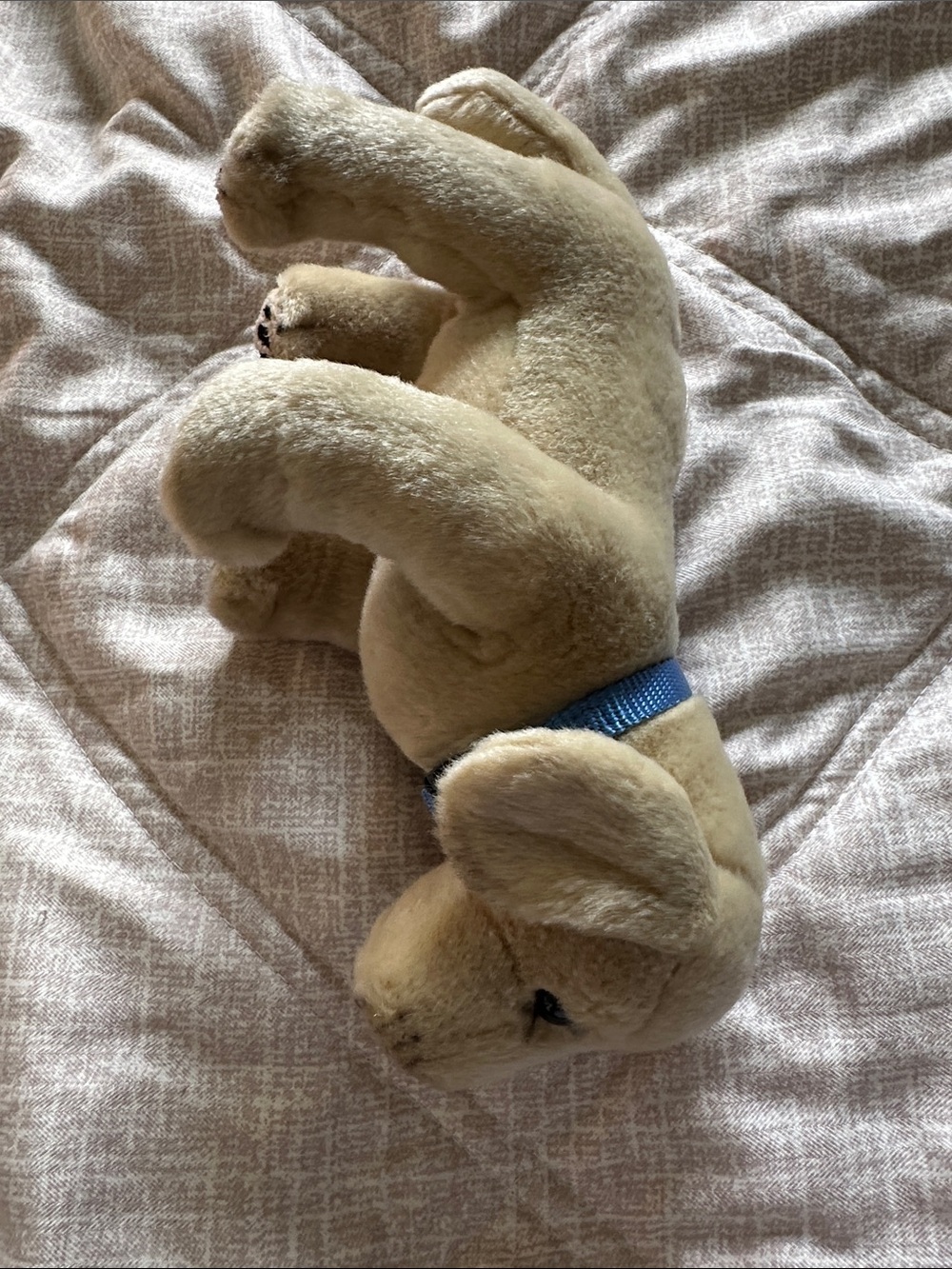 Plush Cream Puppy Stuffed Animal with Blue Collar